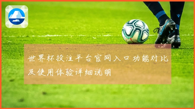 世界杯投注平台官网入口功能对比及使用体验详细说明