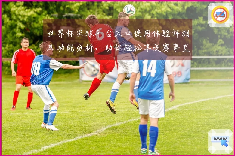 世界杯买球平台入口使用体验评测及功能分析，助你轻松享受赛事直播