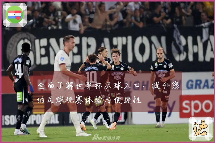 全面了解世界杯买球入口，提升您的足球观赛体验与便捷性