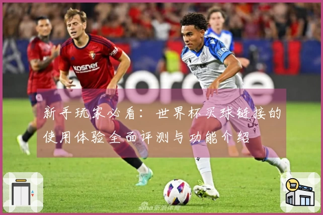 新手玩家必看：世界杯买球链接的使用体验全面评测与功能介绍