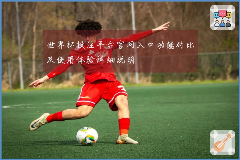 世界杯投注平台官网入口功能对比及使用体验详细说明