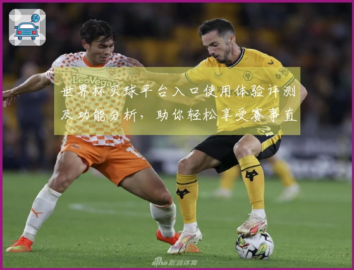 世界杯买球平台入口使用体验评测及功能分析，助你轻松享受赛事直播