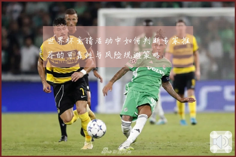 世界杯竞猜活动中如何判断专家推荐的可靠性与风险规避策略