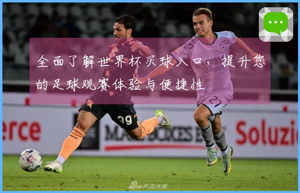 全面了解世界杯买球入口，提升您的足球观赛体验与便捷性